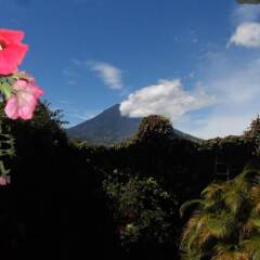 Casa Landivar Hotel in Antigua Guatemala, Guatemala from 89$, photos, reviews - zenhotels.com photo 12