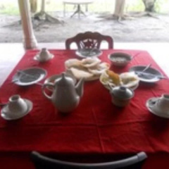 The Polonnaruwa Rest Guest House thumbnail 8