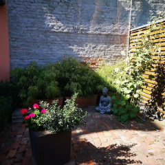 Apartments Junger Moritz - Bild 15