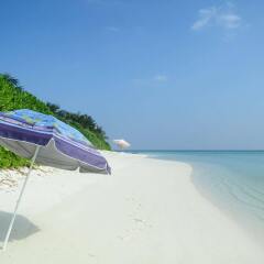 Amazing View in Thoddoo Atoll, Maldives from 102$, photos, reviews - zenhotels.com beach