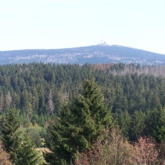 Mein Vierjahreszeiten Hotel Garni - Bild 10
