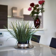 Your Familyapartment in Sirmione thumbnail 13