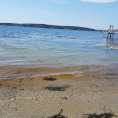 Smuggler's Cove Inn thumbnail 22
