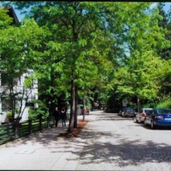 Harzidyll - Bild 8