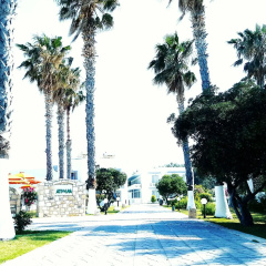Athina Apartments thumbnail 6