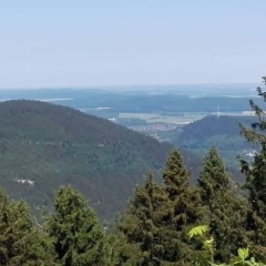 Tier FeWo Zell - Bild 8