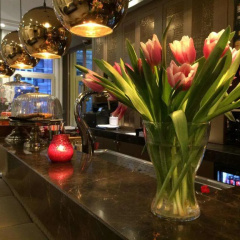 Apple Inn Hotel - Bild 10
