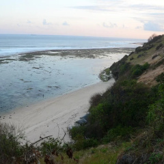 Timbis Homestay Bali - Bild 14