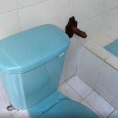 Kelapa Mas Homestay - Bild 9
