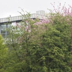 WiaBo Wiesental Ateliers Bochum GmbH - Bild 4