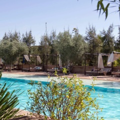 Manzil La Tortue - Bild 14