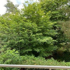 Family Apartment - Bild 1