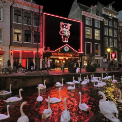 Hotel & bar Royal taste Amsterdam - Bild 1