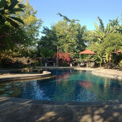 Rini Hotel - Bild 11