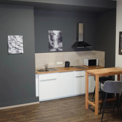 Maxim Apartments Mainz - Bild 11