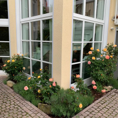 Familien-Suite in Villa - Bild 18