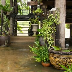Отель Baan Sikuuk Bed & Breakfast Таиланд, Банг-Красан - отзывы, цены и фото номеров - забронировать отель Baan Sikuuk Bed & Breakfast онлайн фото 36