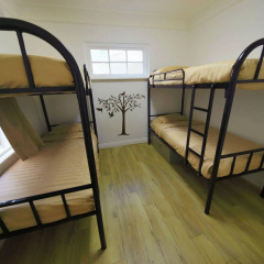 Cozy M Hostel thumbnail 28