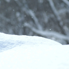 Yumoto Niseko Prince Hotel Hirafutei thumbnail 18