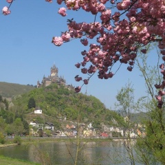 Haus Mosel-Oase - Bild 8