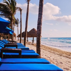 Hotel Nyx Cancun - Bild 28