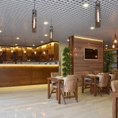 The Elegant Hotel - Bild 16
