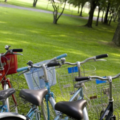 The Prince Villa Karuizawa thumbnail 12