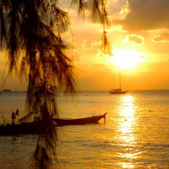 Haad Chao Phao Resort thumbnail 13