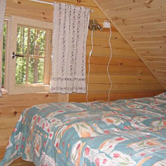 Pikkutupa photo 4