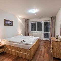 Отель Wili Tatry Apartments Словакия, Герлахов - отзывы, цены и фото номеров - забронировать отель Wili Tatry Apartments онлайн фото 28