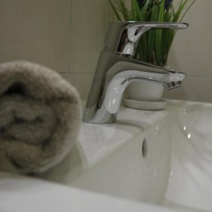 Lutz Motel - Bild 12