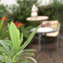 Ferienwohnung Klatschmohn - Bild 8