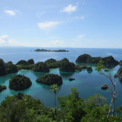 Swiss-Belhotel Sorong thumbnail 11