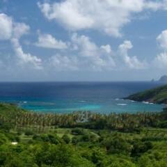 Bay Tree Villa in Bequia, St. Vincent and the Grenadines from 124$, photos, reviews - zenhotels.com photo 15