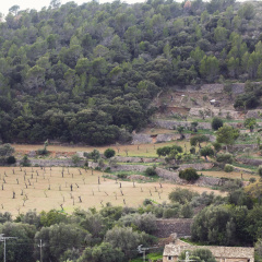 Es Corte Vell - Inland Bunyola - Adults Only - Bild 14