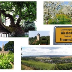 Ferienwohnung Burgblick - Bild 9