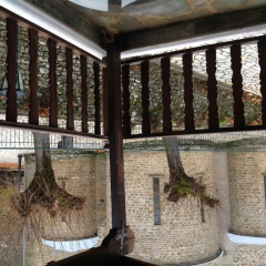 Guesthouse Ariadni thumbnail 6