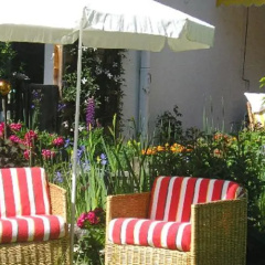 Alpin - Bild 6