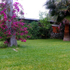 Arya Holiday Houses - Bild 10