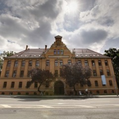 Younior Stralsund - Bild 1