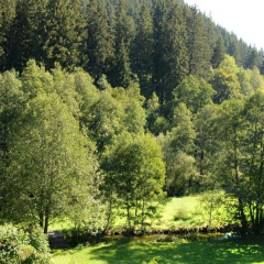 Ferienwohnung im Kupferhammer - Bild 10