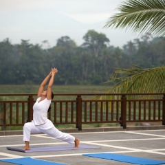 The Samaya Ubud Bali - Bild 22