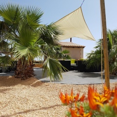 Finca Alegria - Bild 24