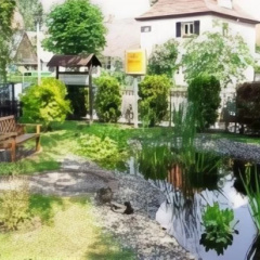 Lindenhof - Bild 3
