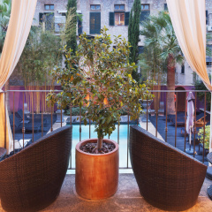 L'Avenida Hotel - Bild 14
