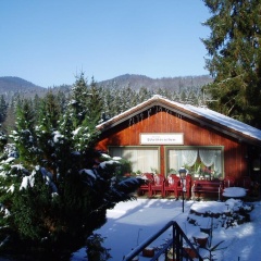 Ferienhotel Waldfrieden - Bild 6
