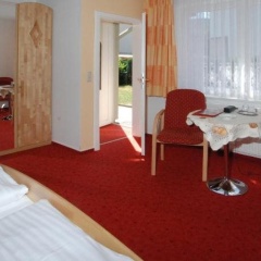 Brauner Hirsch - Bild 4