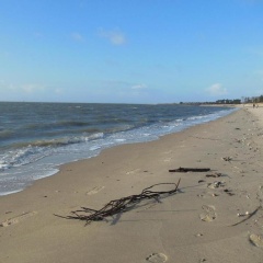 Ferle - Bild 6