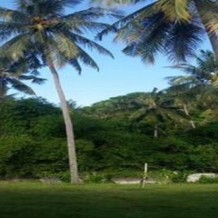 Villa Mantika - Bild 4