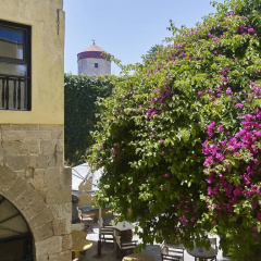 Old Town House thumbnail 15